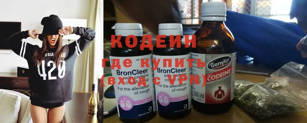 индика Карпинск