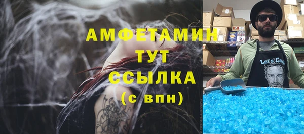 индика Карпинск