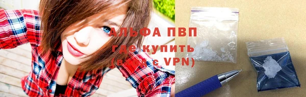 индика Карпинск