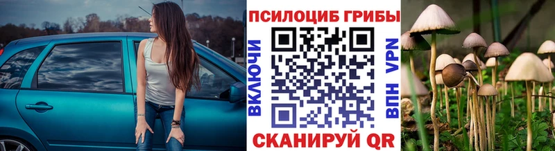 Галлюциногенные грибы прущие грибы  Купить  Горячий Ключ 